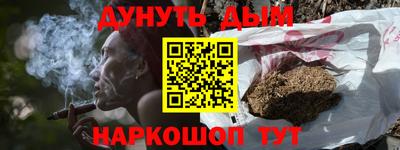 шишки Новодвинск