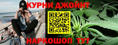 индика Новозыбков