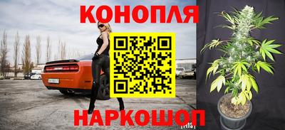 мяу мяу мука Нягань