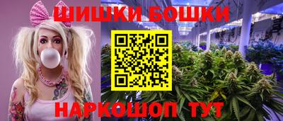 шишки Новодвинск