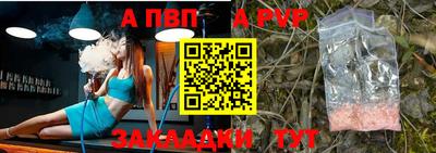 шишки Новодвинск