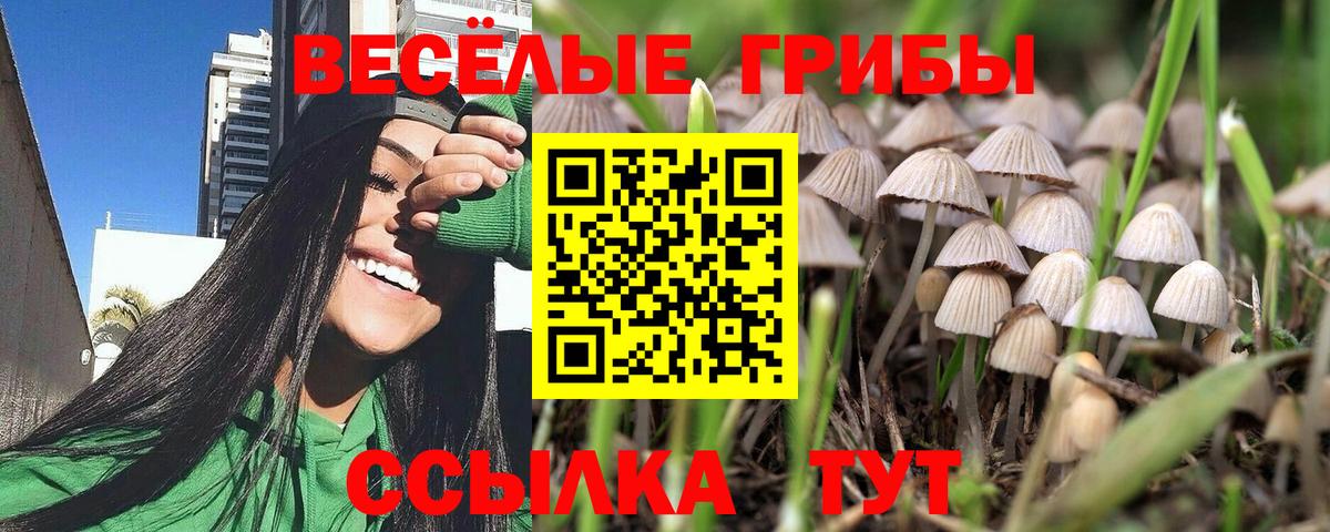 Псилоцибиновые грибы GOLDEN TEACHER Рассказово
